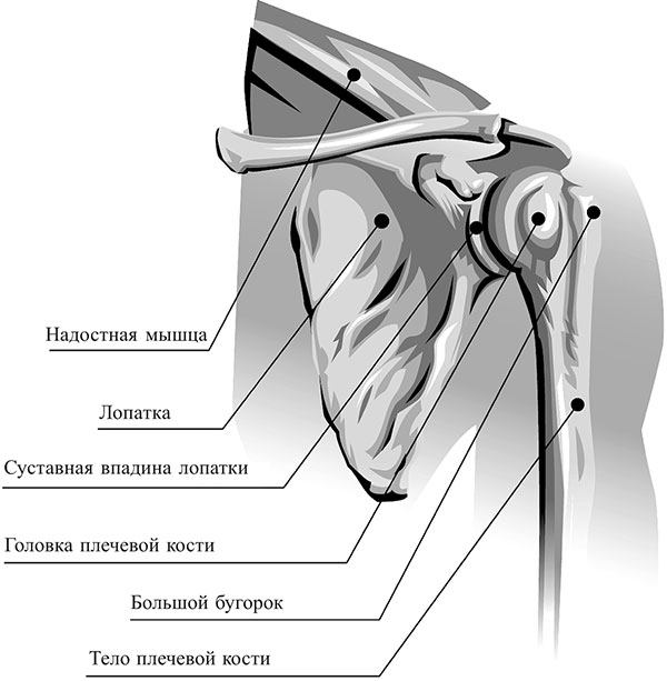 artroosi ravi 3-4 etappide
