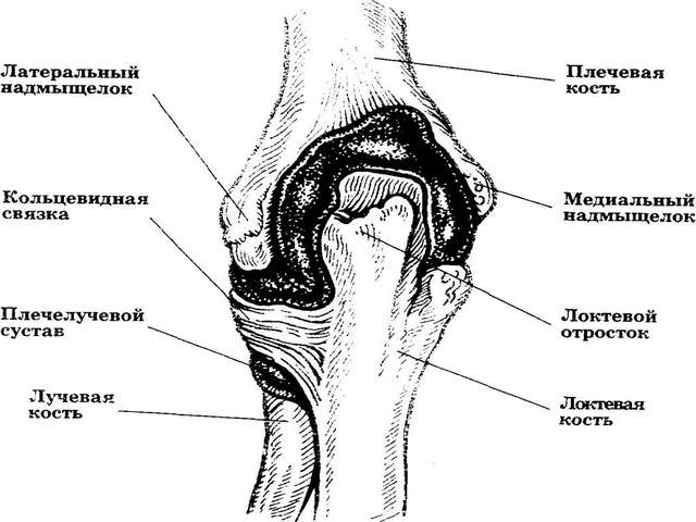 poletik liigese sorme kae parast vigastusi hoidke parempoolse harja liigeseid