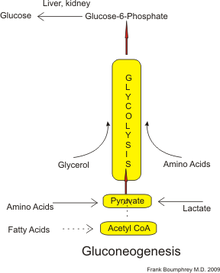 glukosamiini ja kondroitiini mitmepoja vanni liigeste poletik