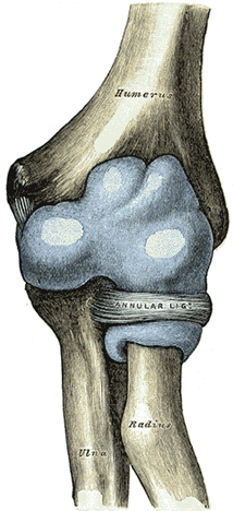 elbow liigese sisemise epiprodiliidi ravi