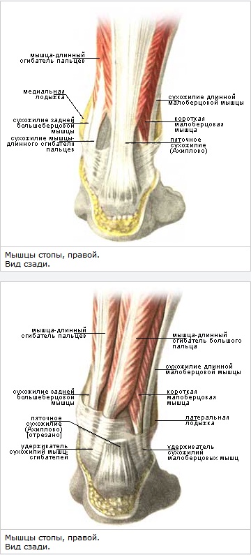 kuidas ravida sormede liigeste valu nende kate ja jalgade